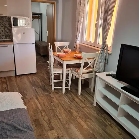 House Tereza 公寓 沃迪切